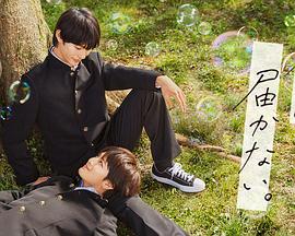 国产精选在线观看网站海报剧照